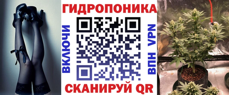 Бошки марихуана Amnesia  Купить  Сельцо 